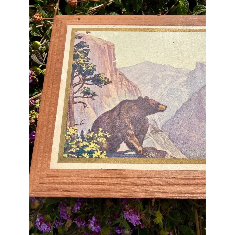 1930s Vintage Lyons California Glace Fruit Wood Box Yosemite Bear Advertising